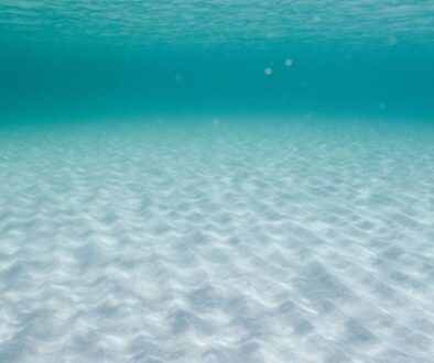 türkisfarbenes Wasser, klarer Blick, weißer Sand am Meeresgrund